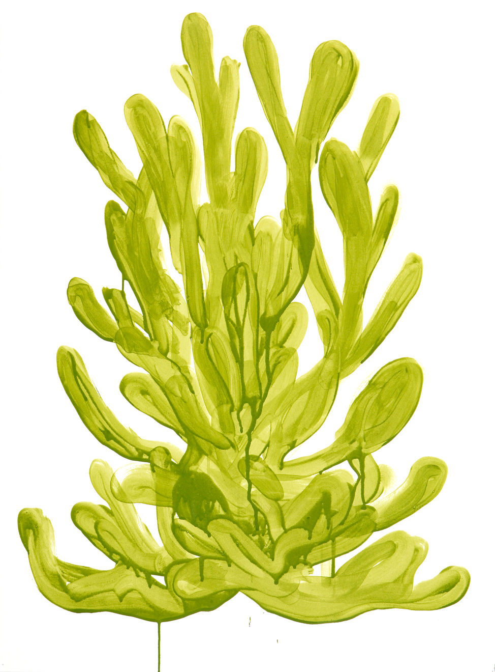 Michael De Feo, Untitled, 2015