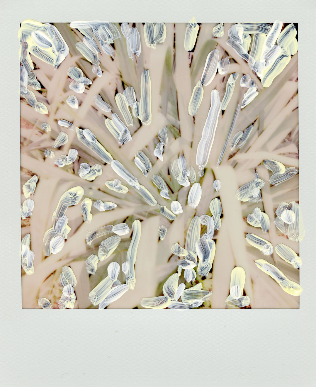 Michael De Feo, Untitled, 2020