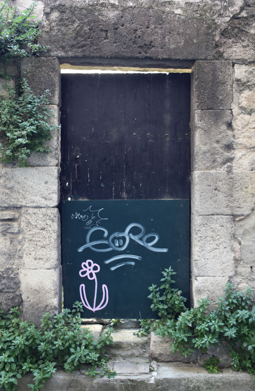 Michael De Feo, Flower (Saint-Rémy-de-Provence, France), 2019