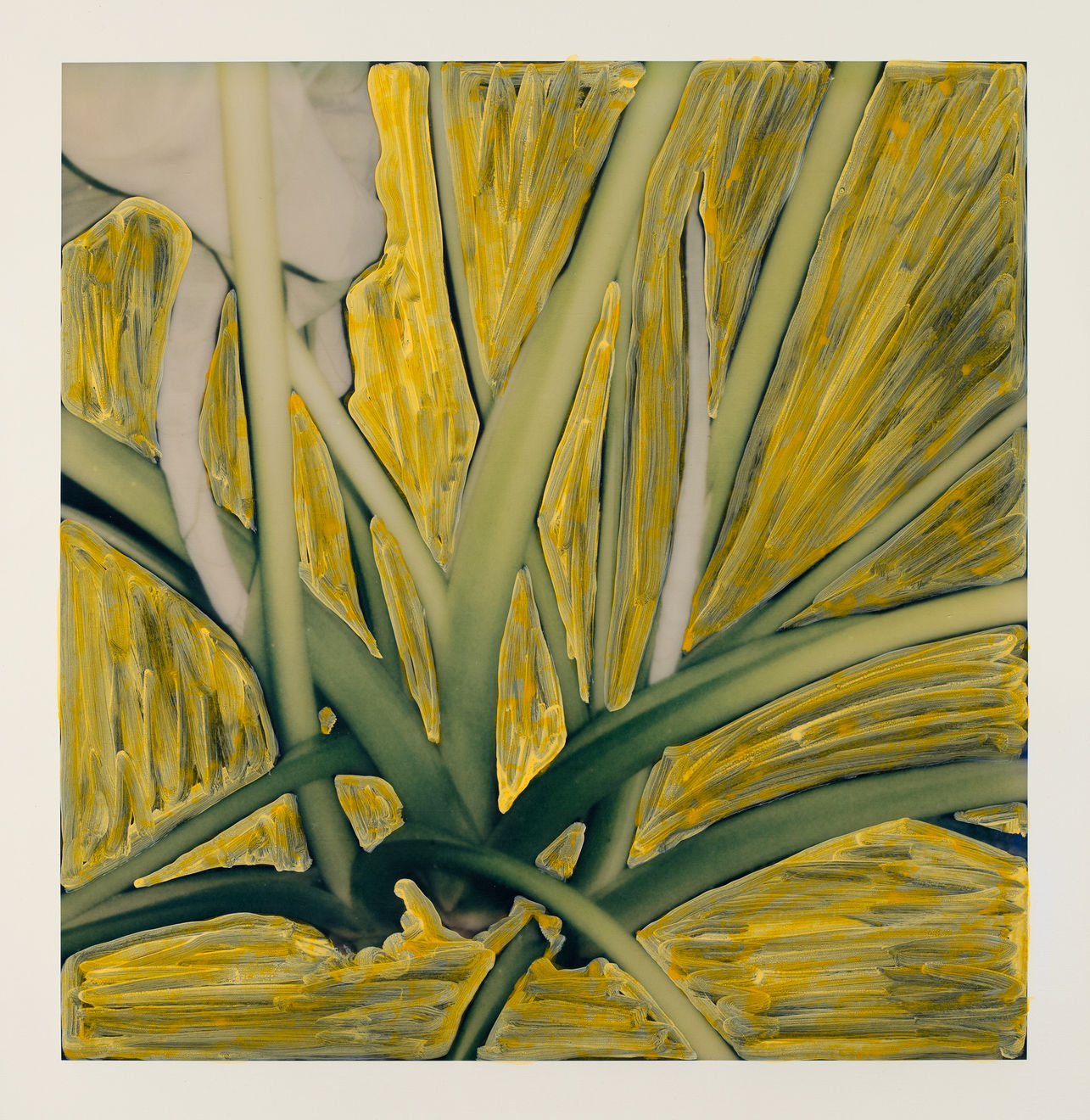 Michael De Feo, Untitled (Polaroid Painting 04), 2021