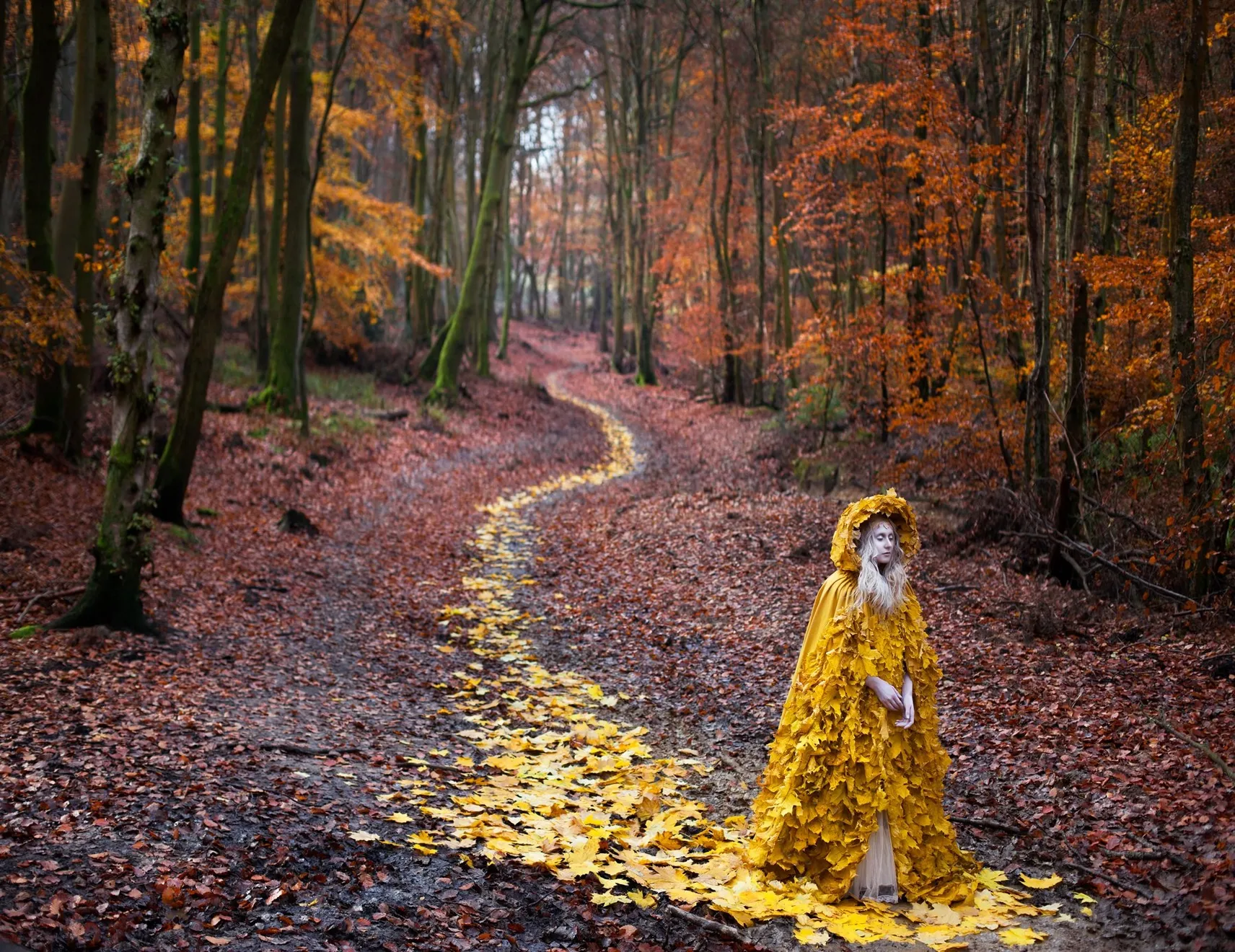 Kirsty Mitchell, The Journey Home, 2013