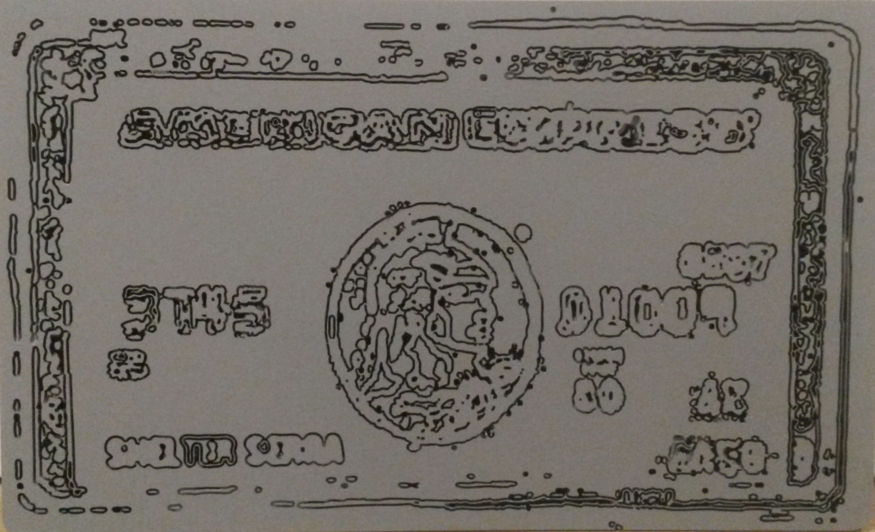 Shelter Serra, Grey Amex Card, 2014