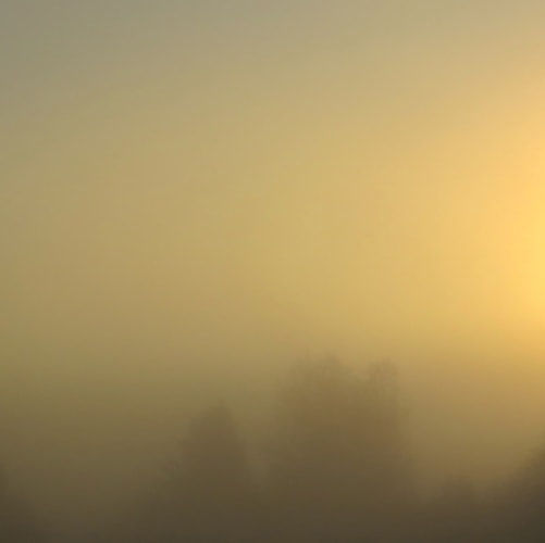 Miya Ando, Morning Santa Cruz, 2014