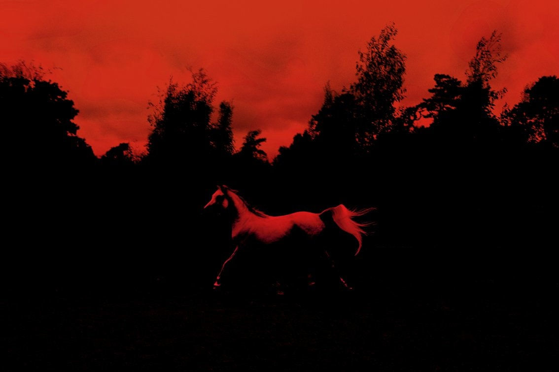 Peter Westh, Stamina, 2013