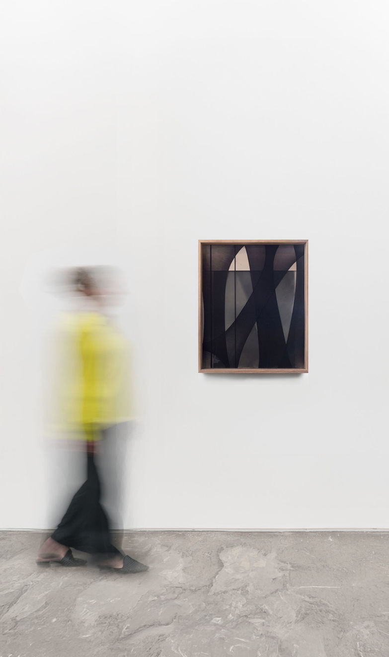 Sheree Hovsepian, Between One Eye and the Other, 2017