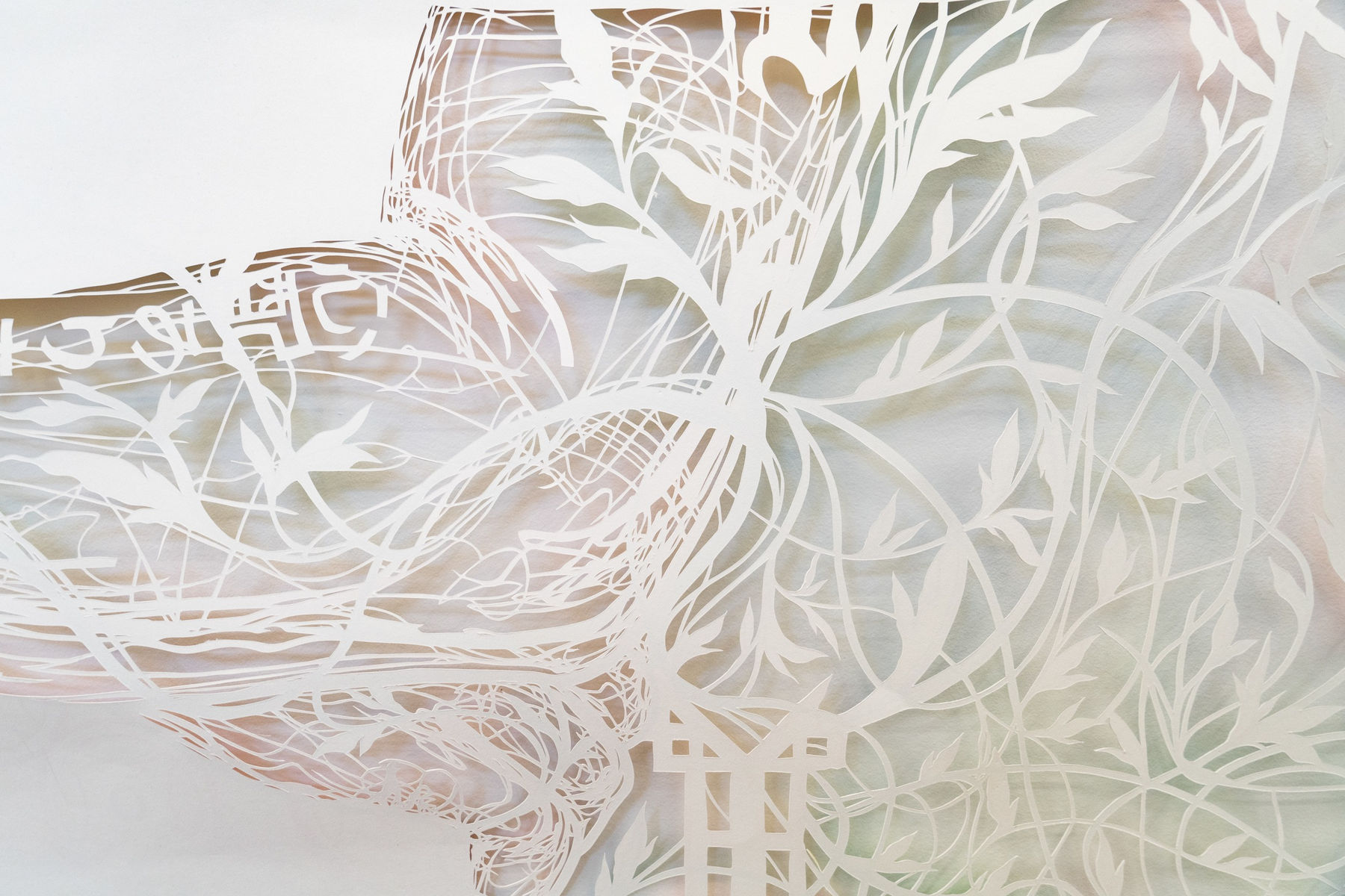 Antonius-Tín Bui, for hunger is to give the body what it knows it cannot keep, 2020