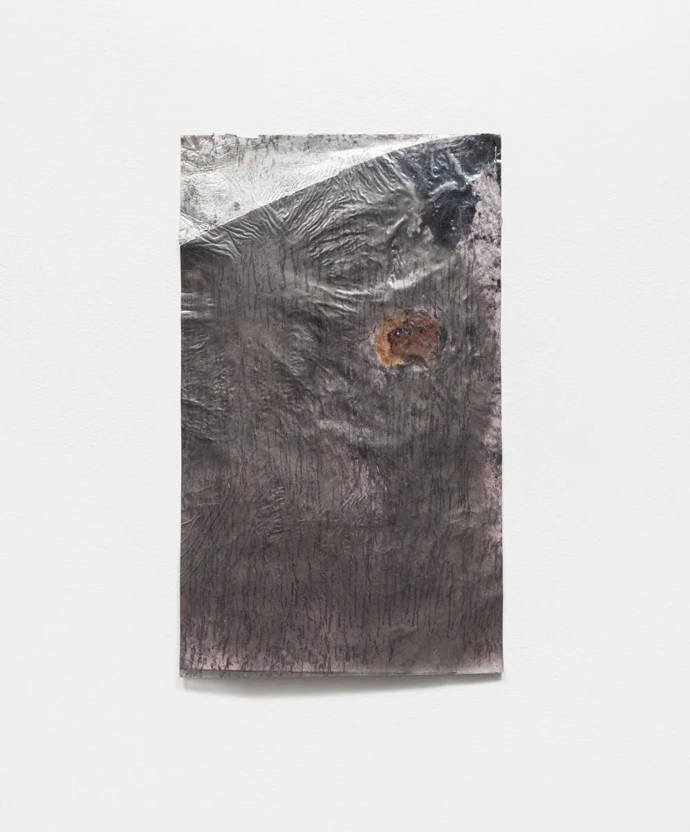 Kate Levant, A Rubbing of Iridescent Must, 2016