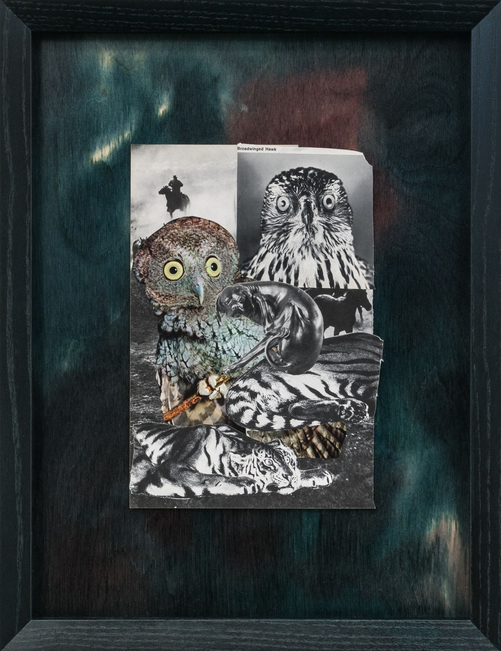 Dan Gunn, Leavings No. 3 (Broad-winged hawk), 2022