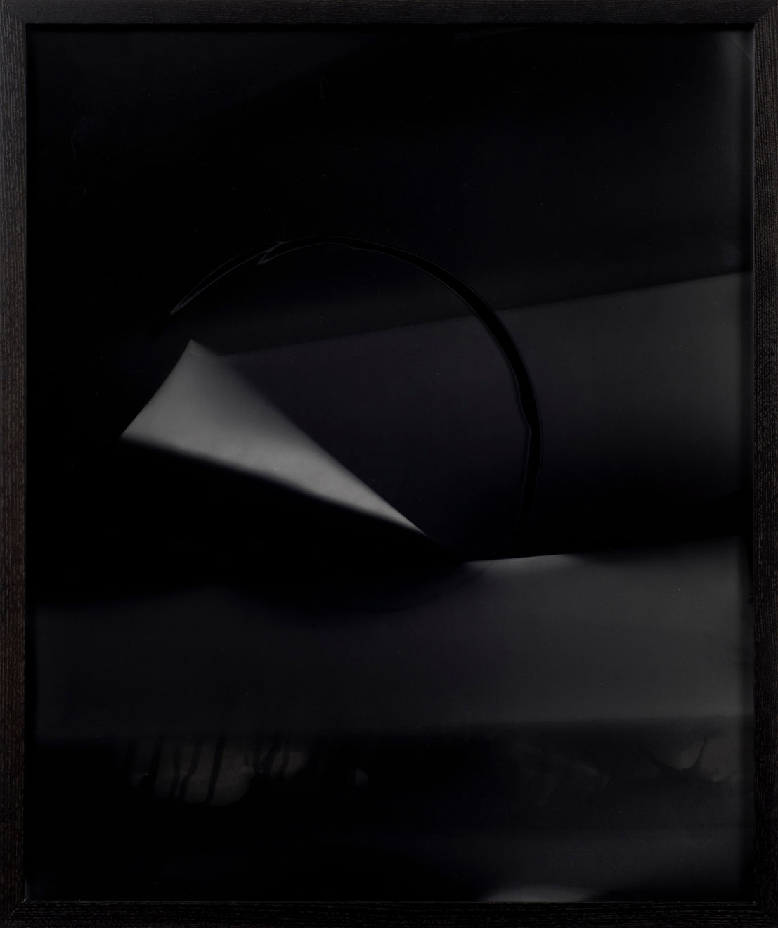 Sheree Hovsepian, Untitled #2 from the "Haptic Wonders" series, 2012