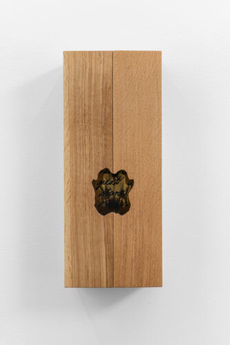 Nate Young, A Stone, 2020