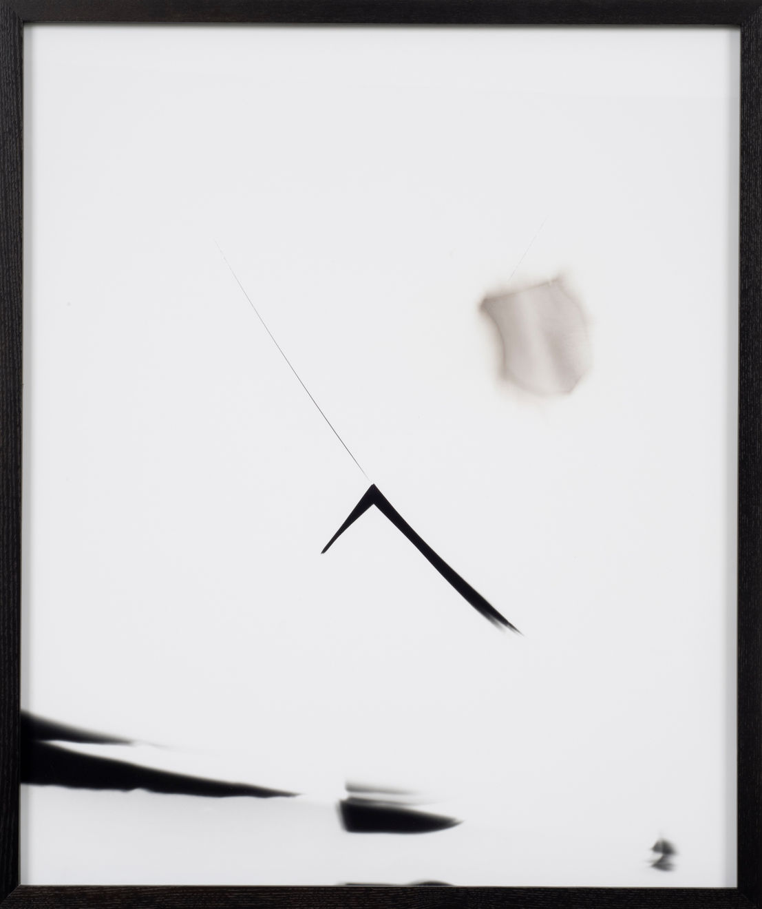 Sheree Hovsepian, Untitled #4 from the "Haptic Wonders" series, 2012