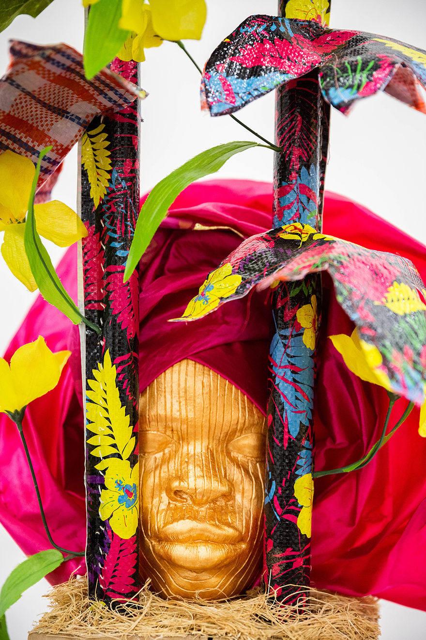 Layo Bright, Luffa Acutangula (Loofah), 2019