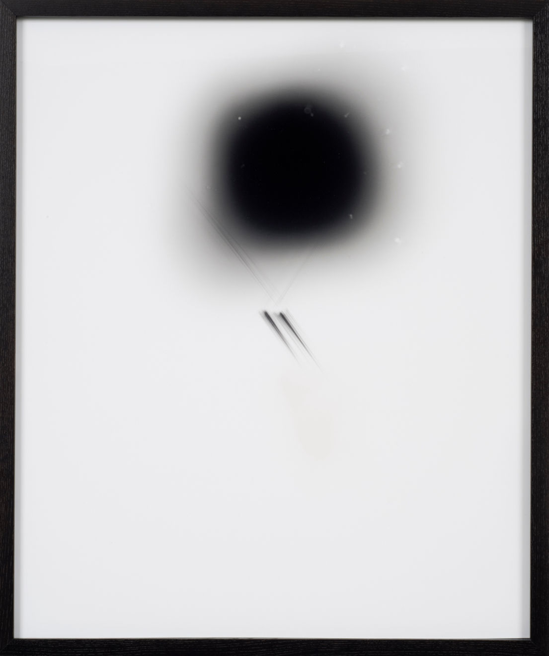 Sheree Hovsepian, Untitled #7 from the "Haptic Wonders" series, 2012