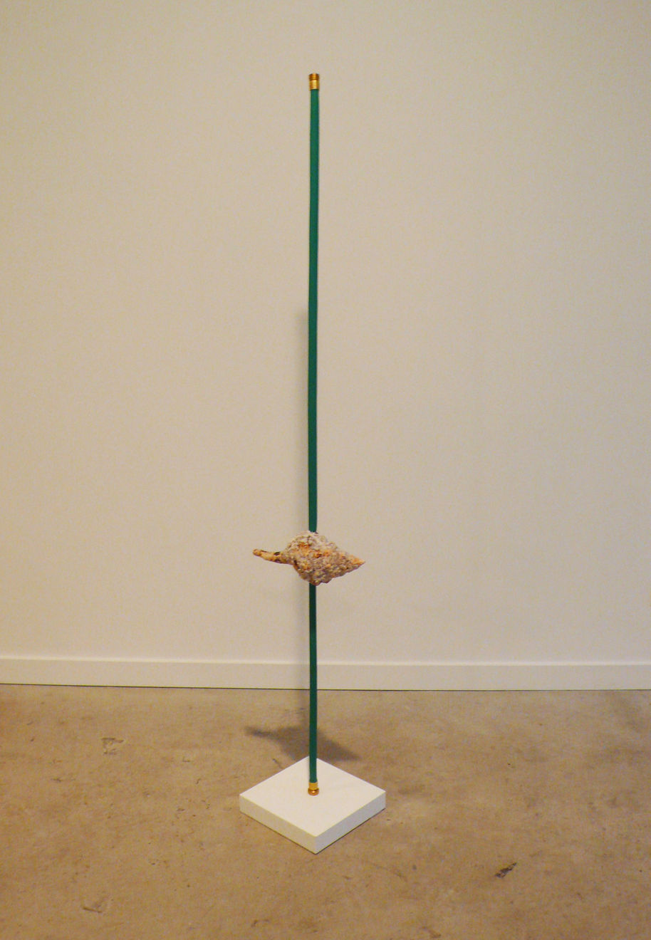 Justin Cooper, Puberty, 2010