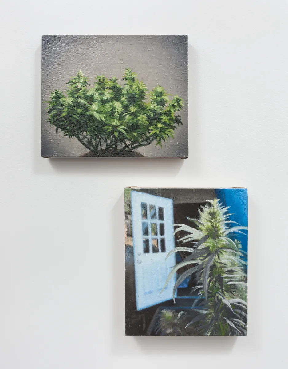 Davis/Langlois, Study for Support/Pot, 2003