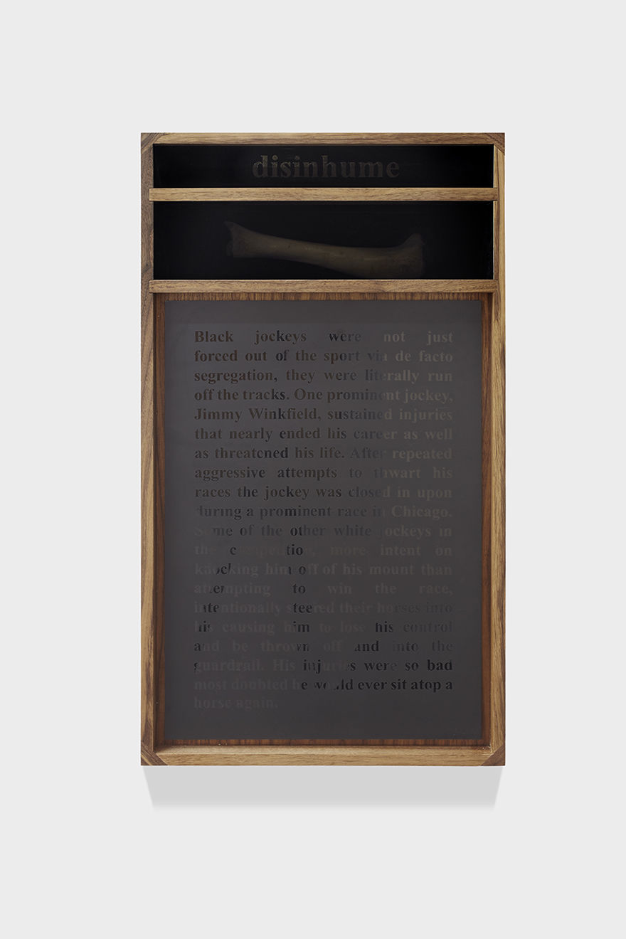 Nate Young, Disinhume, 2018