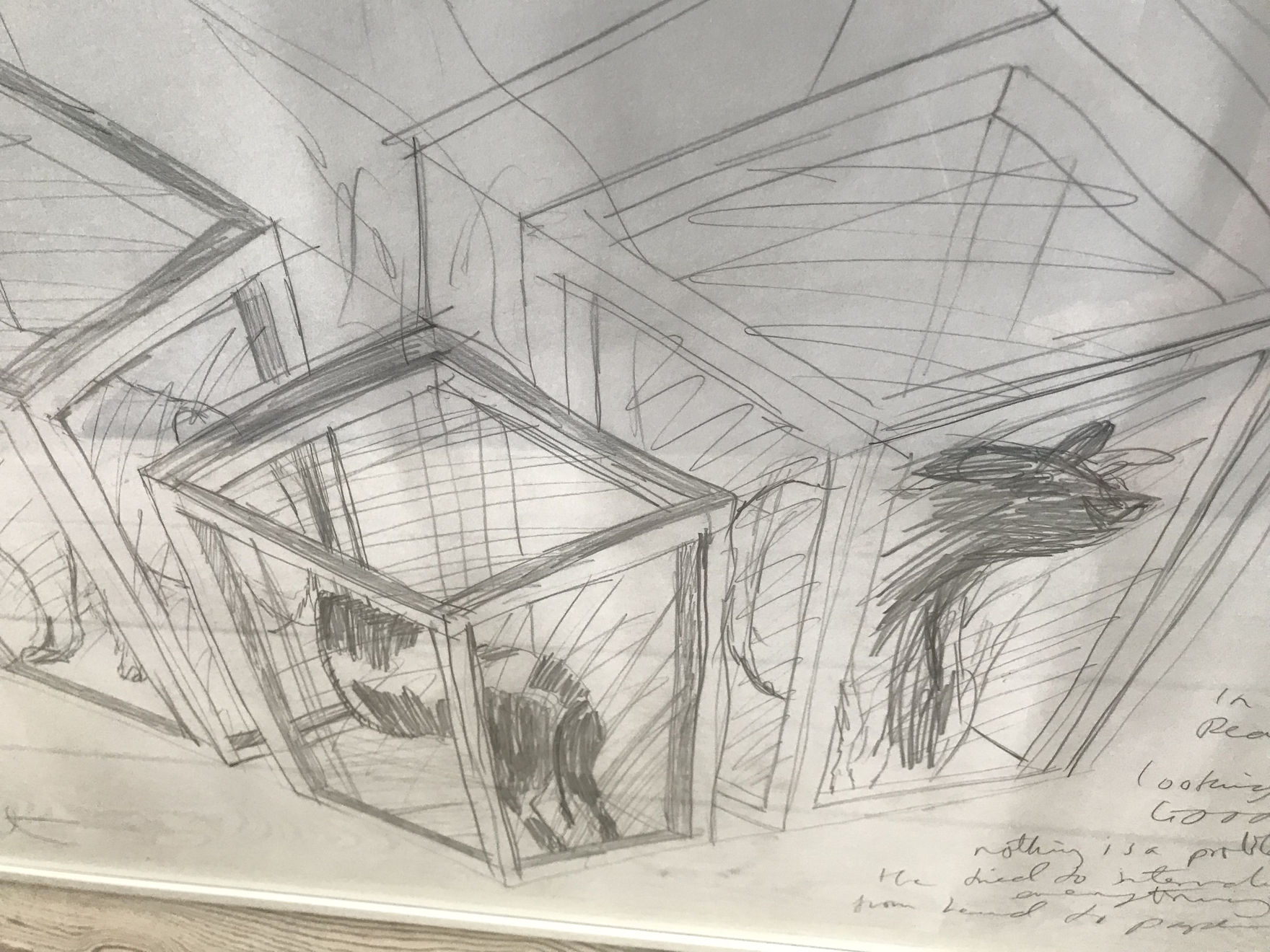 Damien Hirst, "CANT SEE THE WOOD FOR THE TREES", 1996