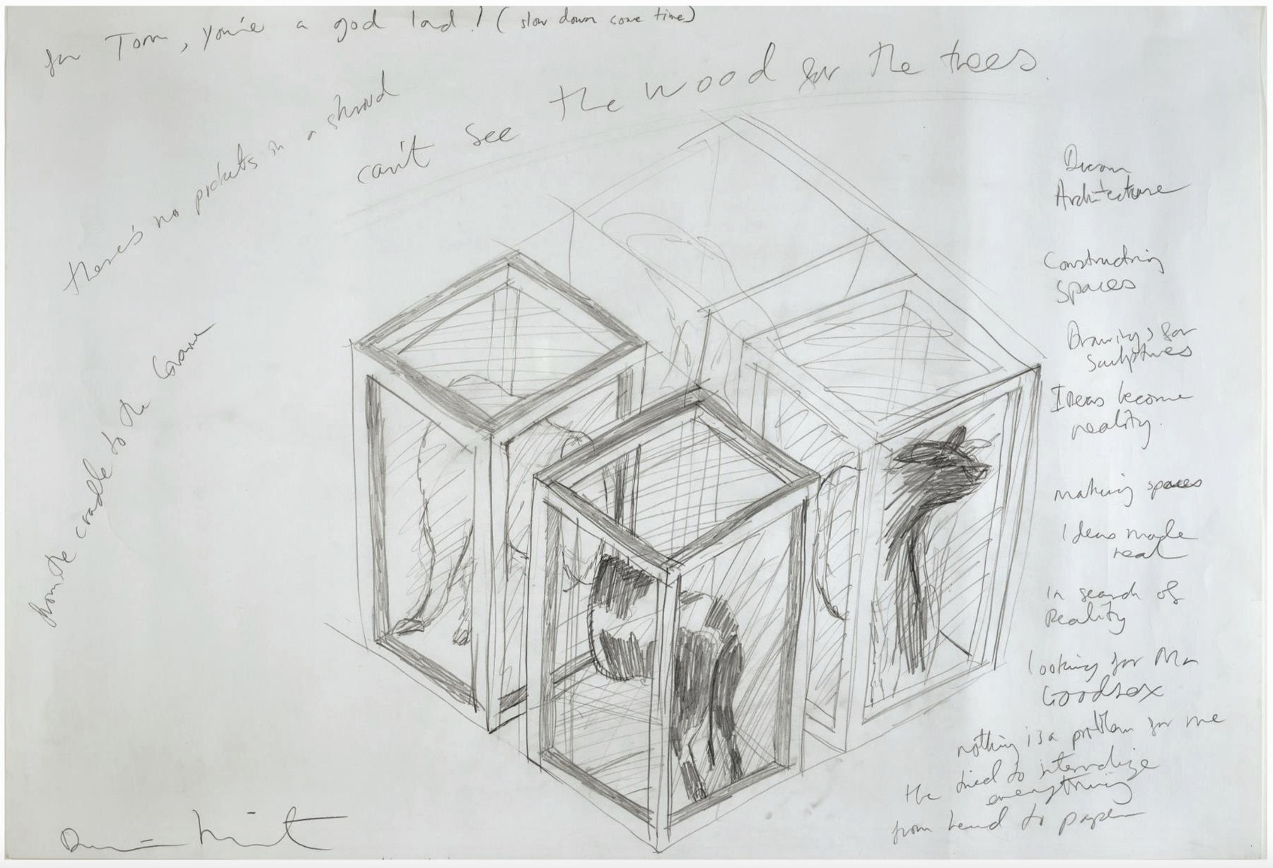 Damien Hirst, "CANT SEE THE WOOD FOR THE TREES", 1996