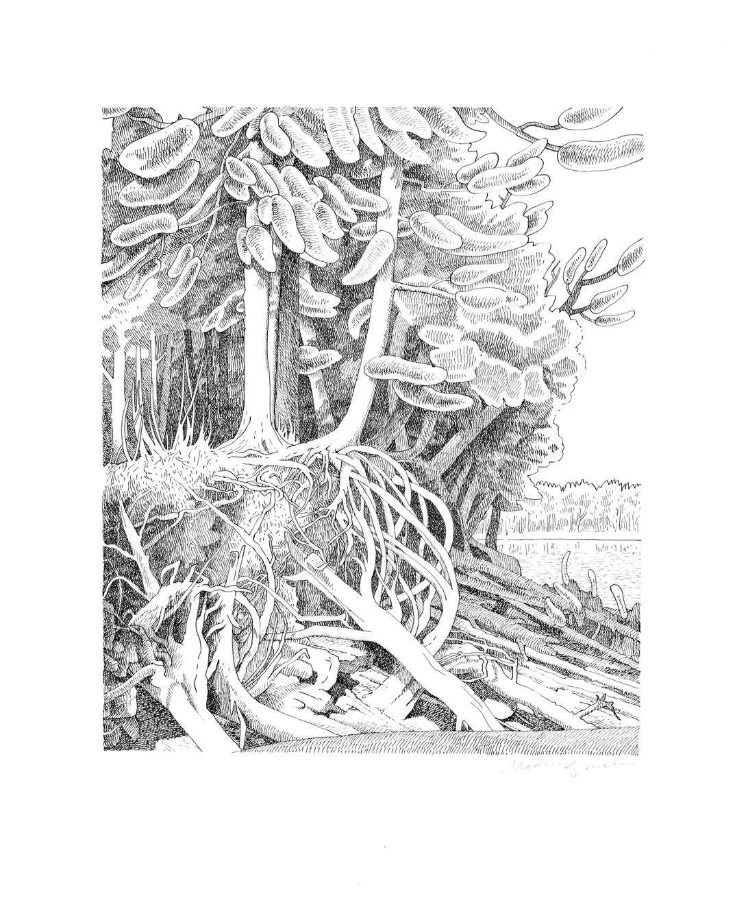 Madeleine Bialke, Autopsy, 2020