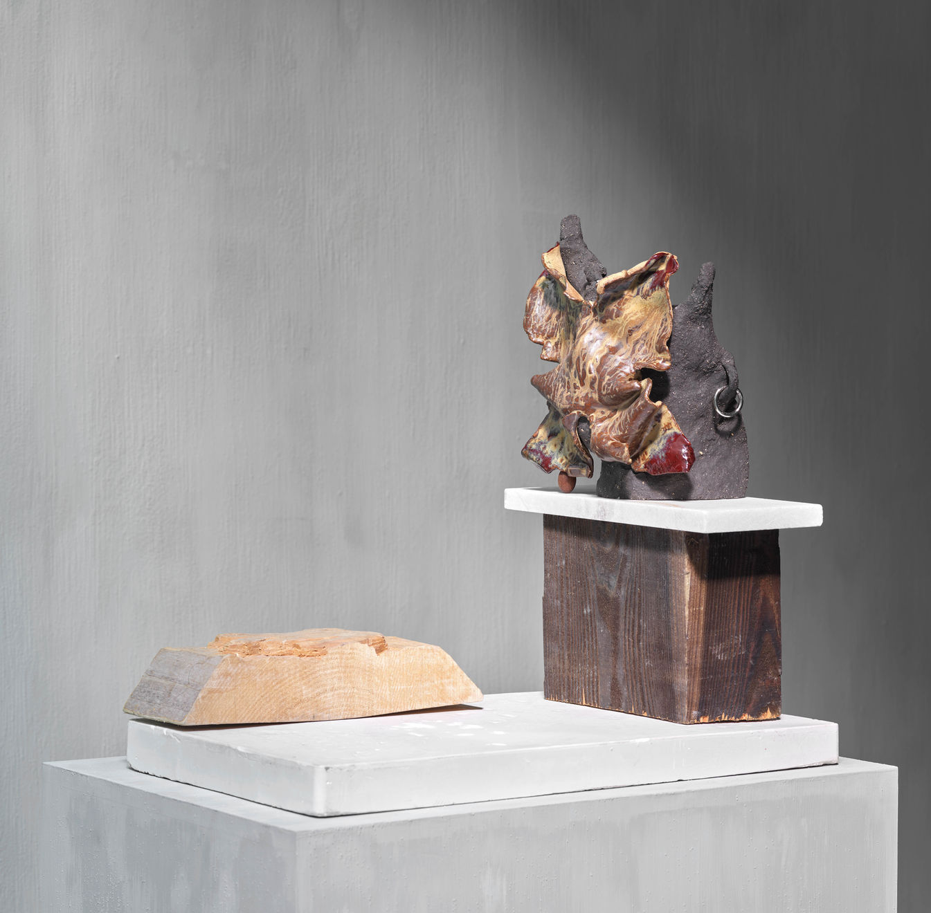 Anousha Payne, Camilla as the butterfly and the crocodile, 2024