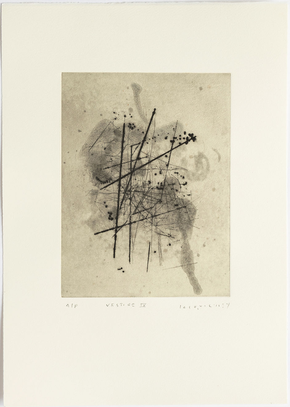 Jacqui Colley, Vestige IV, 2025