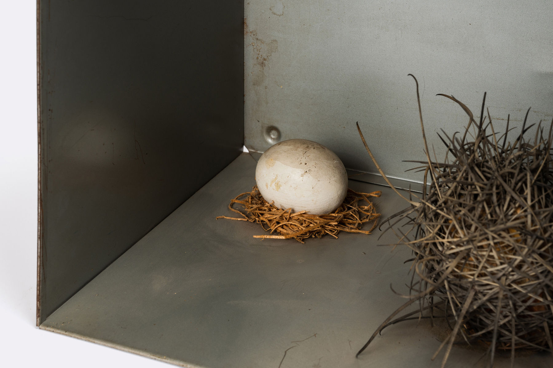 Kenzi Shiokava, Untitled, c. 1999