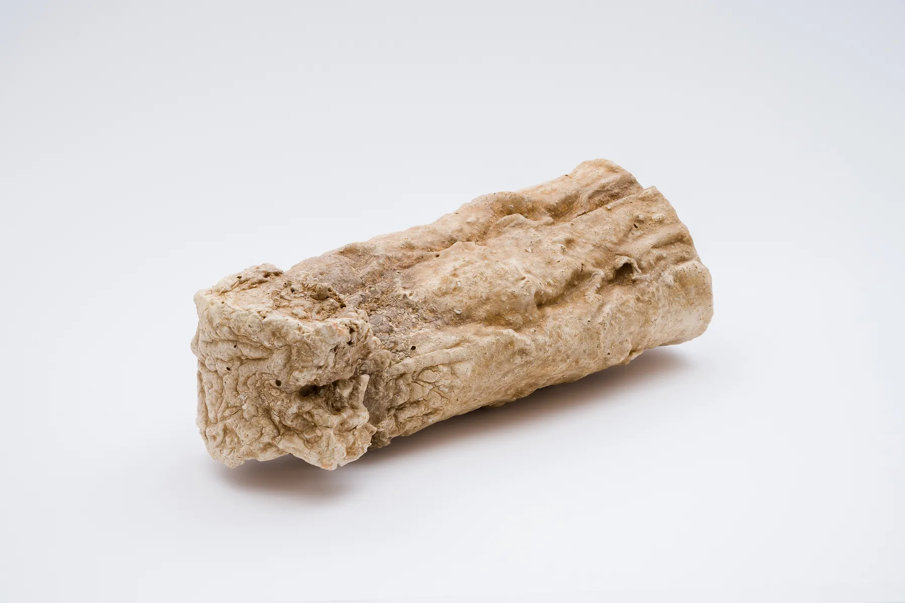 Keita Matsunaga, cocoon, 2021