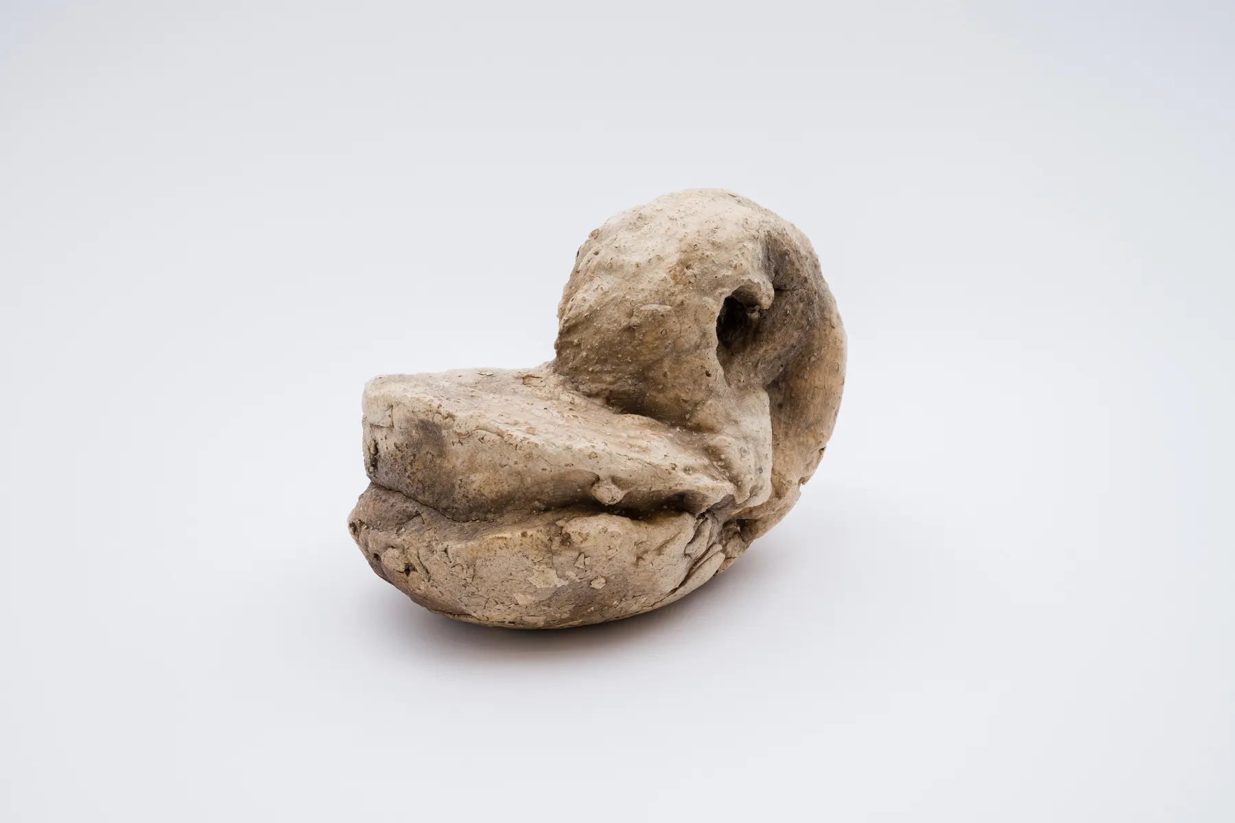 Keita Matsunaga, Cocoon, 2021