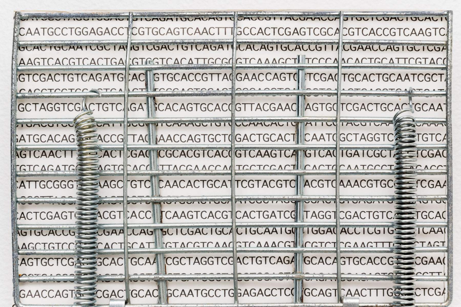 Shuzo Azuchi Gulliver, La dolce vita / A.T.C.G.(reality is sweet), Kyoto version, 2004