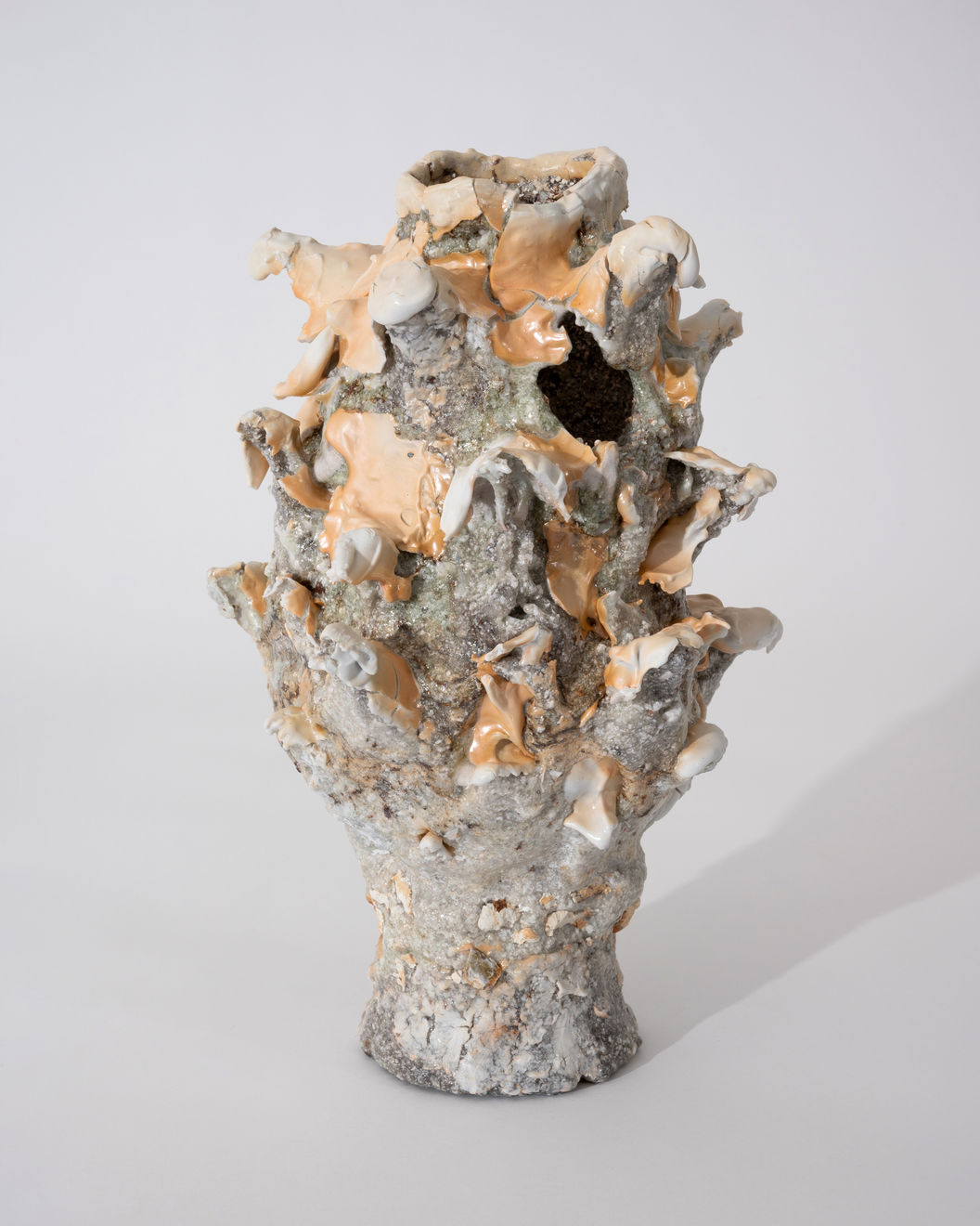 Masaomi Yasunaga, 樹の抜け殻 / bark of a tree, 2019