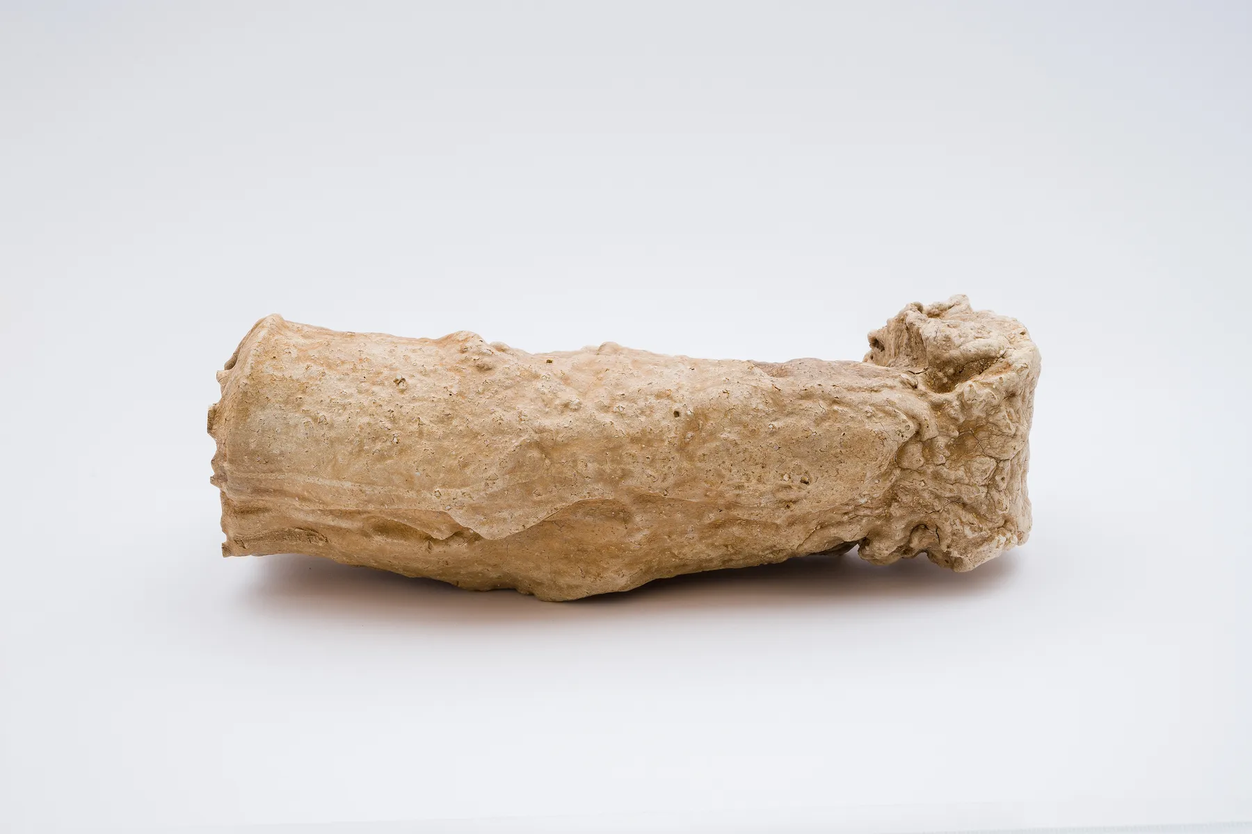 Keita Matsunaga, cocoon, 2021