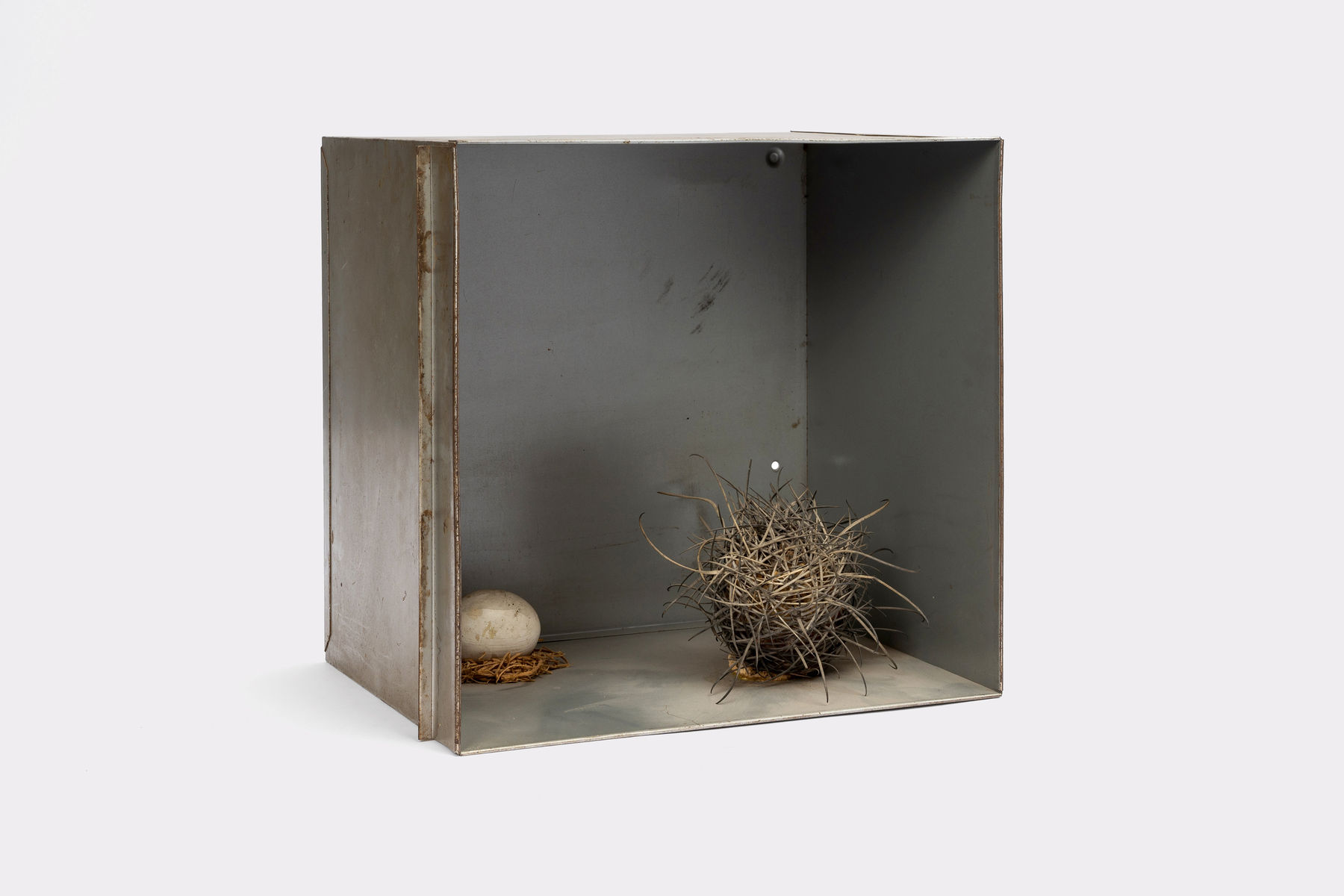 Kenzi Shiokava, Untitled, c. 1999