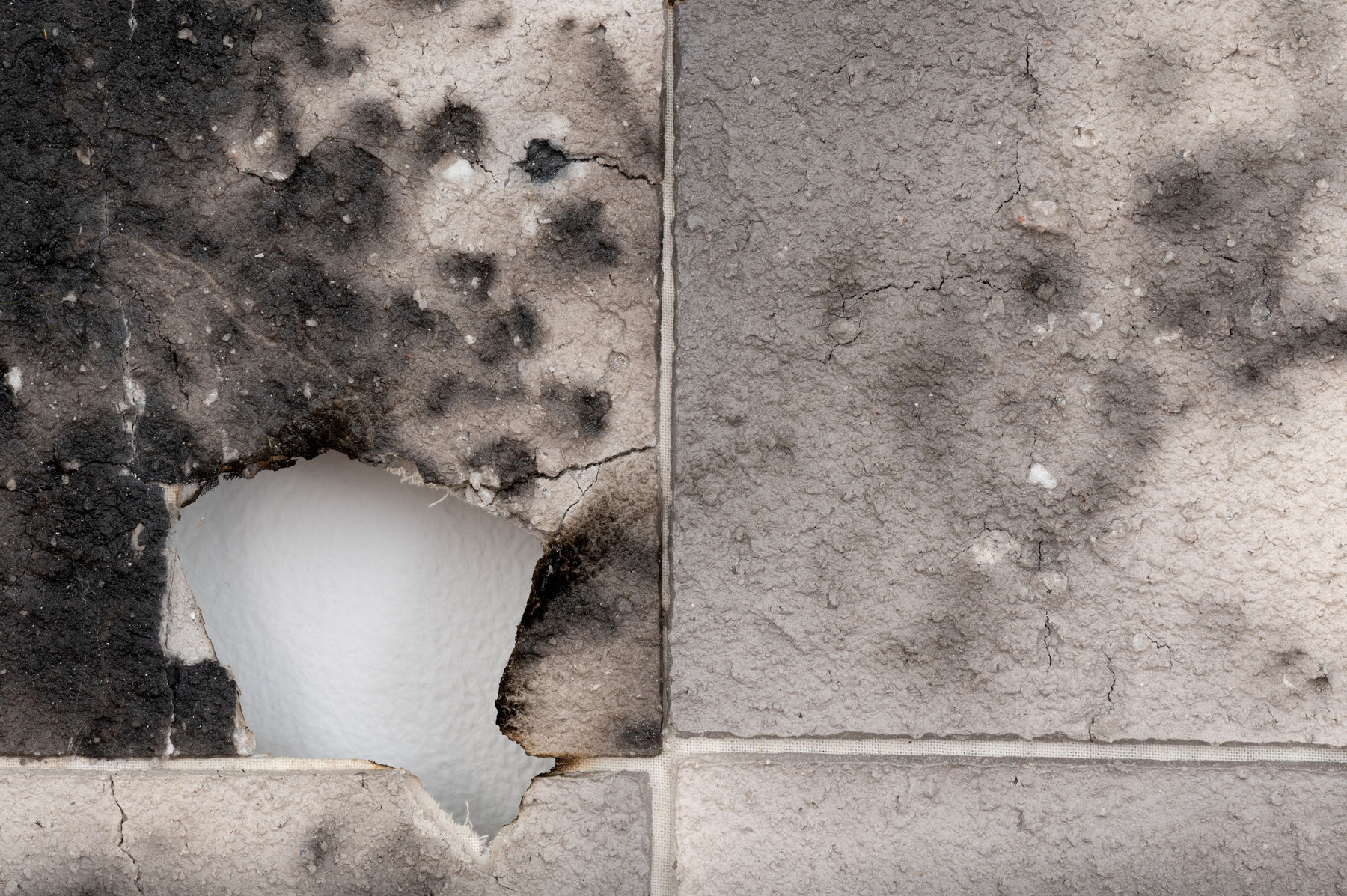 Rando Aso, Trace, 2018