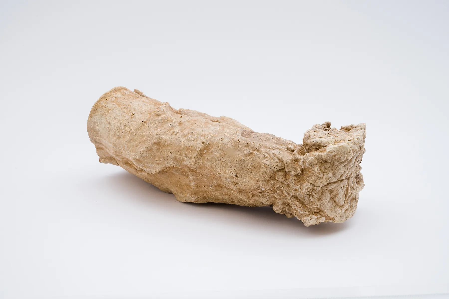 Keita Matsunaga, cocoon, 2021