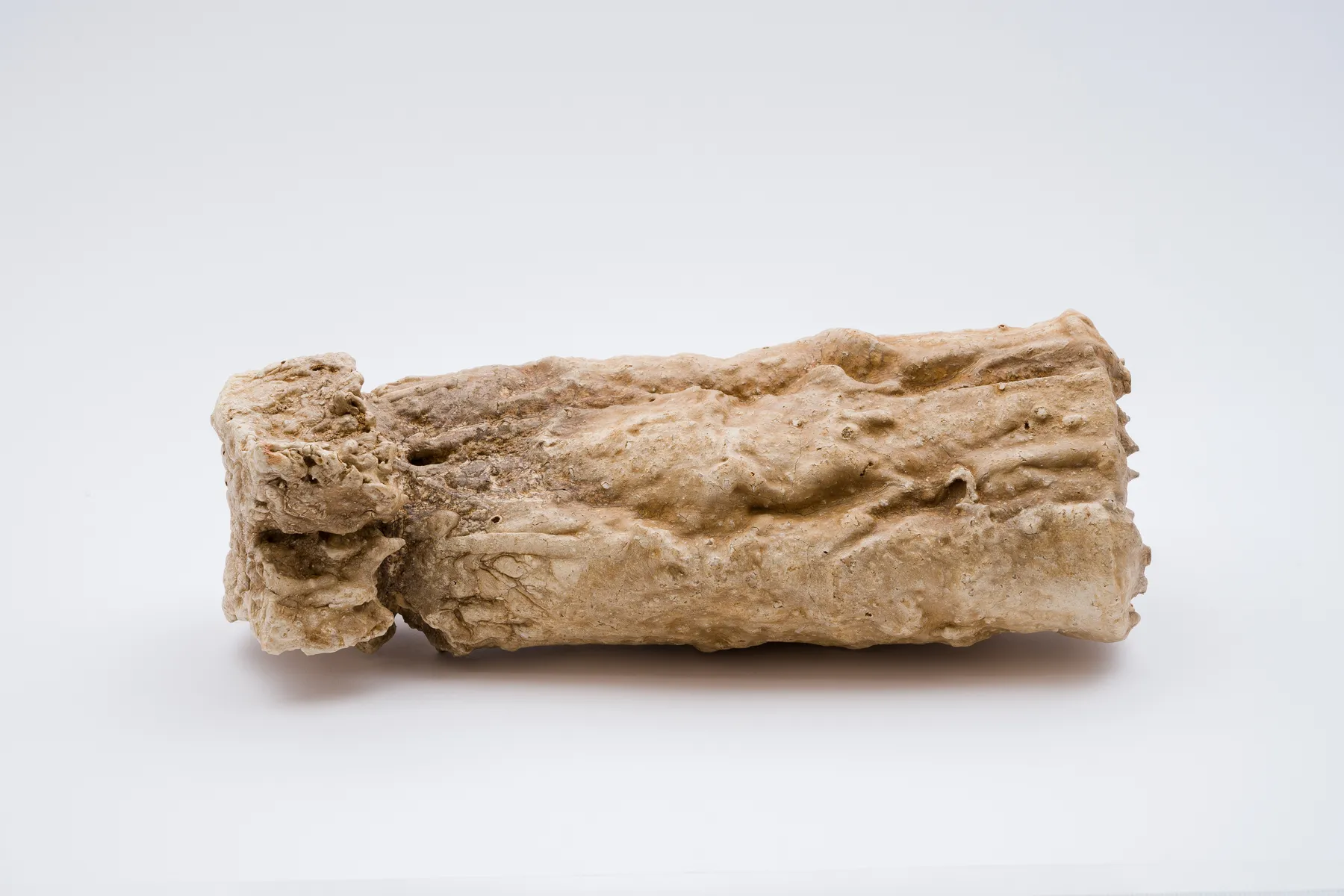 Keita Matsunaga, cocoon, 2021