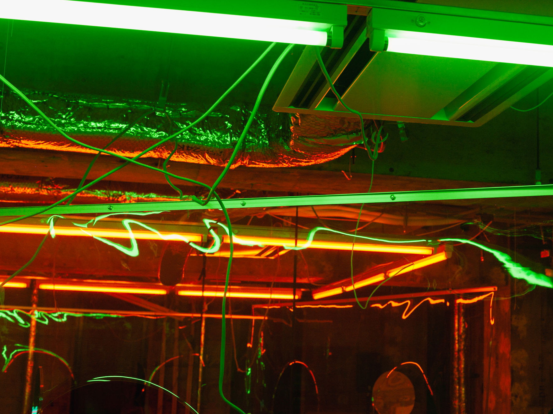 Takuro Tamayama, They Hardly Ever Stand Still, 2019