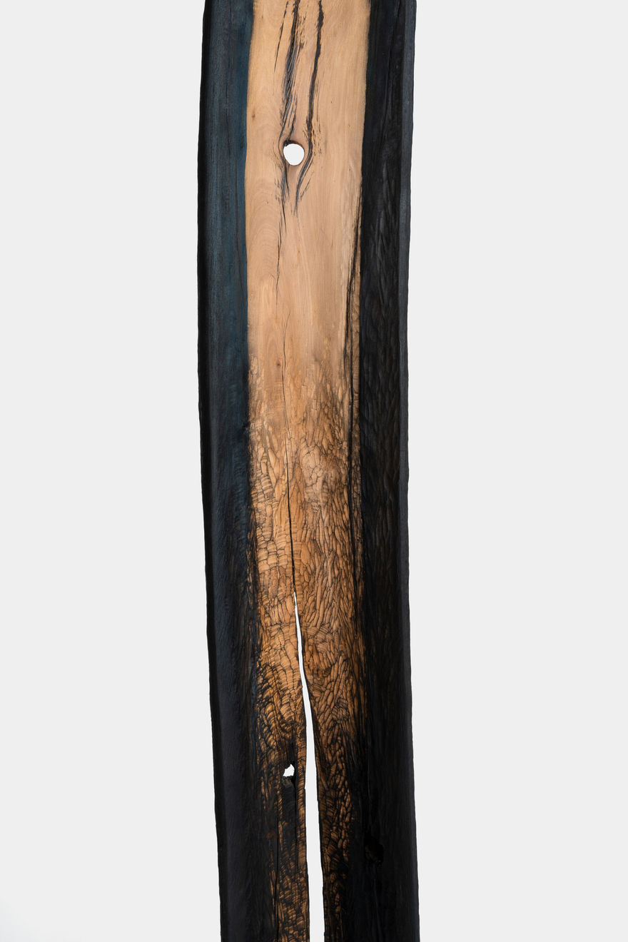 Kenzi Shiokava, Unititled, n.d.