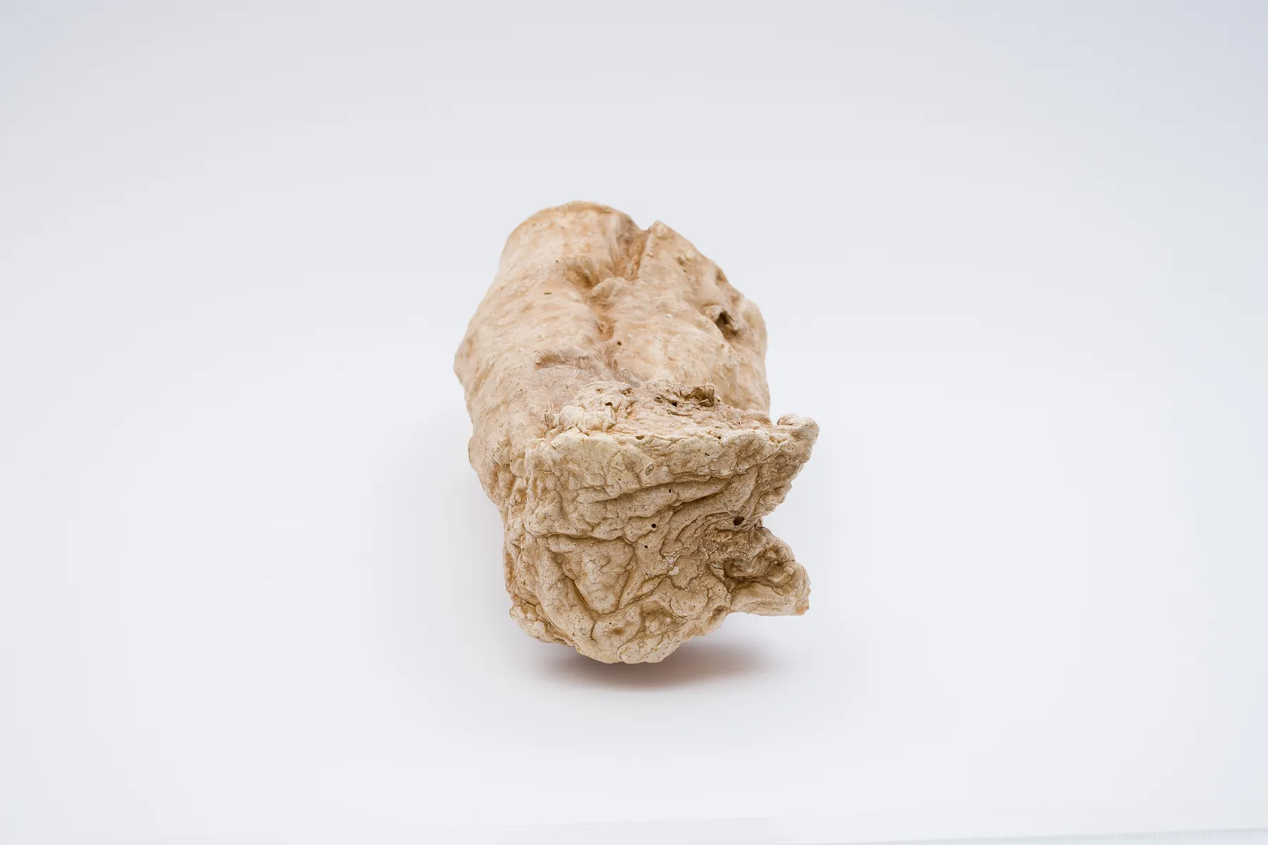 Keita Matsunaga, cocoon, 2021