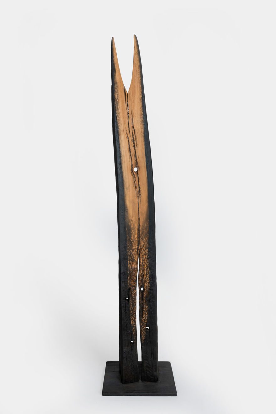 Kenzi Shiokava, Unititled, n.d.