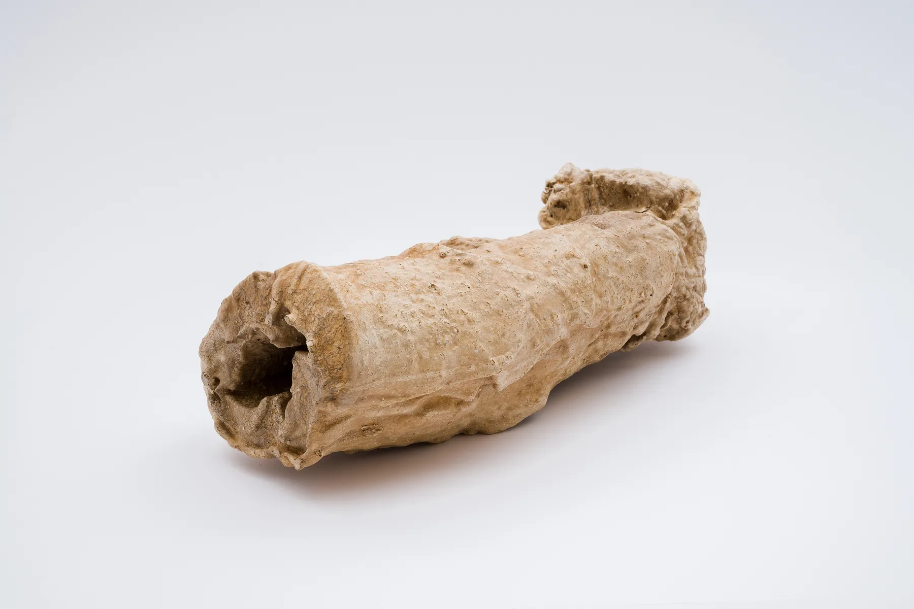 Keita Matsunaga, cocoon, 2021