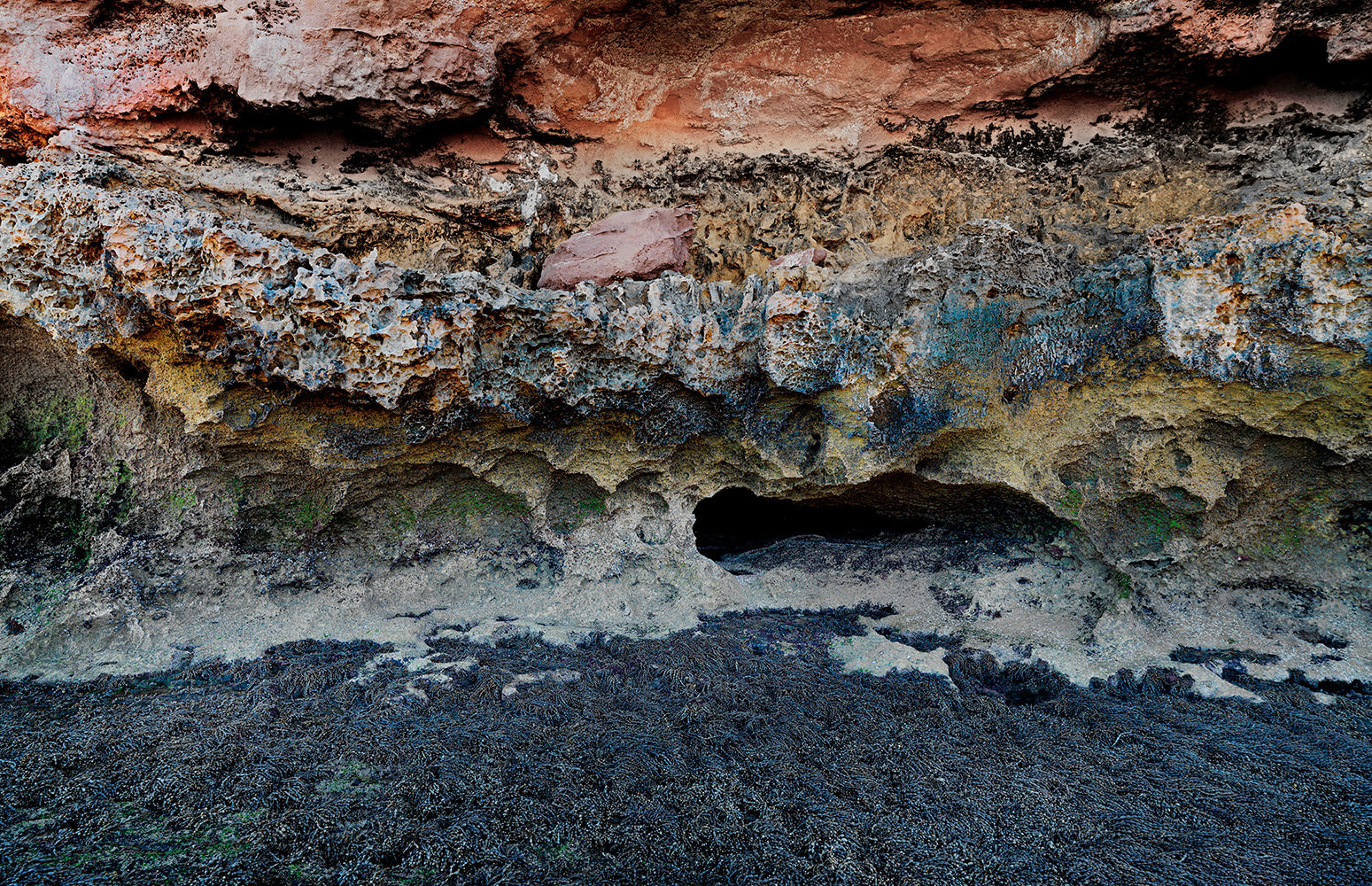 Rodney Schaffer, 38°32’93.84”S 144°69’22.55”E 06:04:21 05/7/2021, 2022