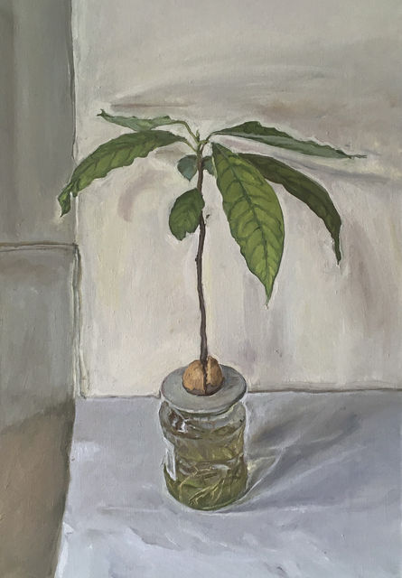 James Lloyd, Avocado Plant, 2020