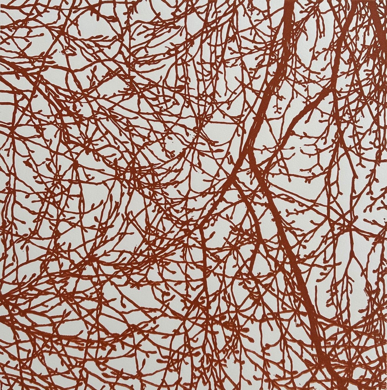 Andrew Carter, Copper Beech Buds