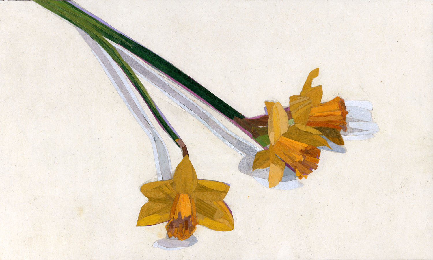 John Murphy-Woolford, Three Spring Daffodils, 2021