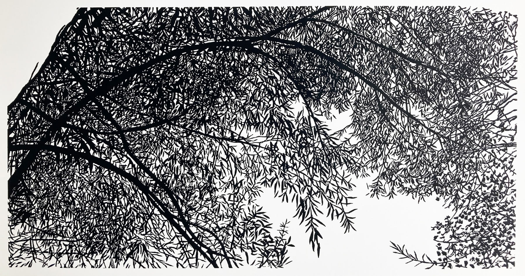 Andrew Carter, The Tree I Fell Out Of