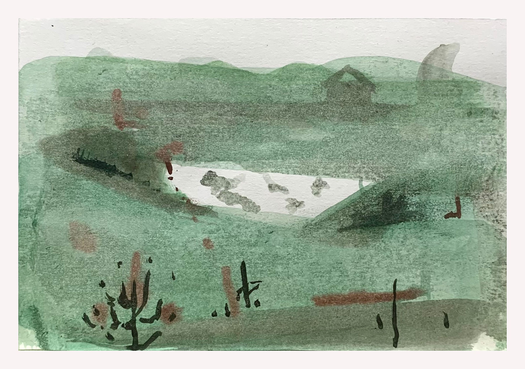 Clare Haward, Wetlands, 2024