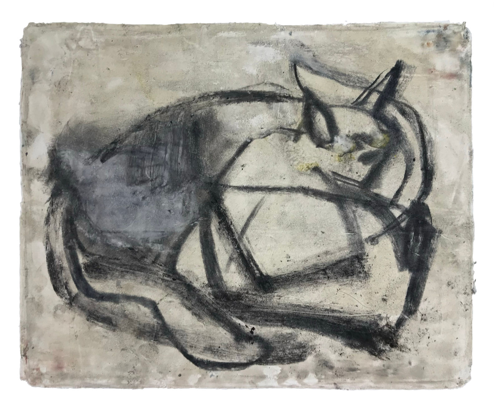 Grant Watson, Cat Drawing, 2024