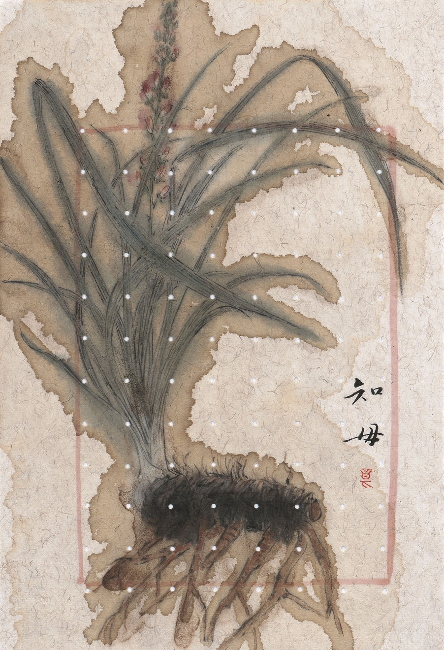 Zhang Yanzi 章燕紫, Dabuyin Pills 大補陰丸, 2014-2015