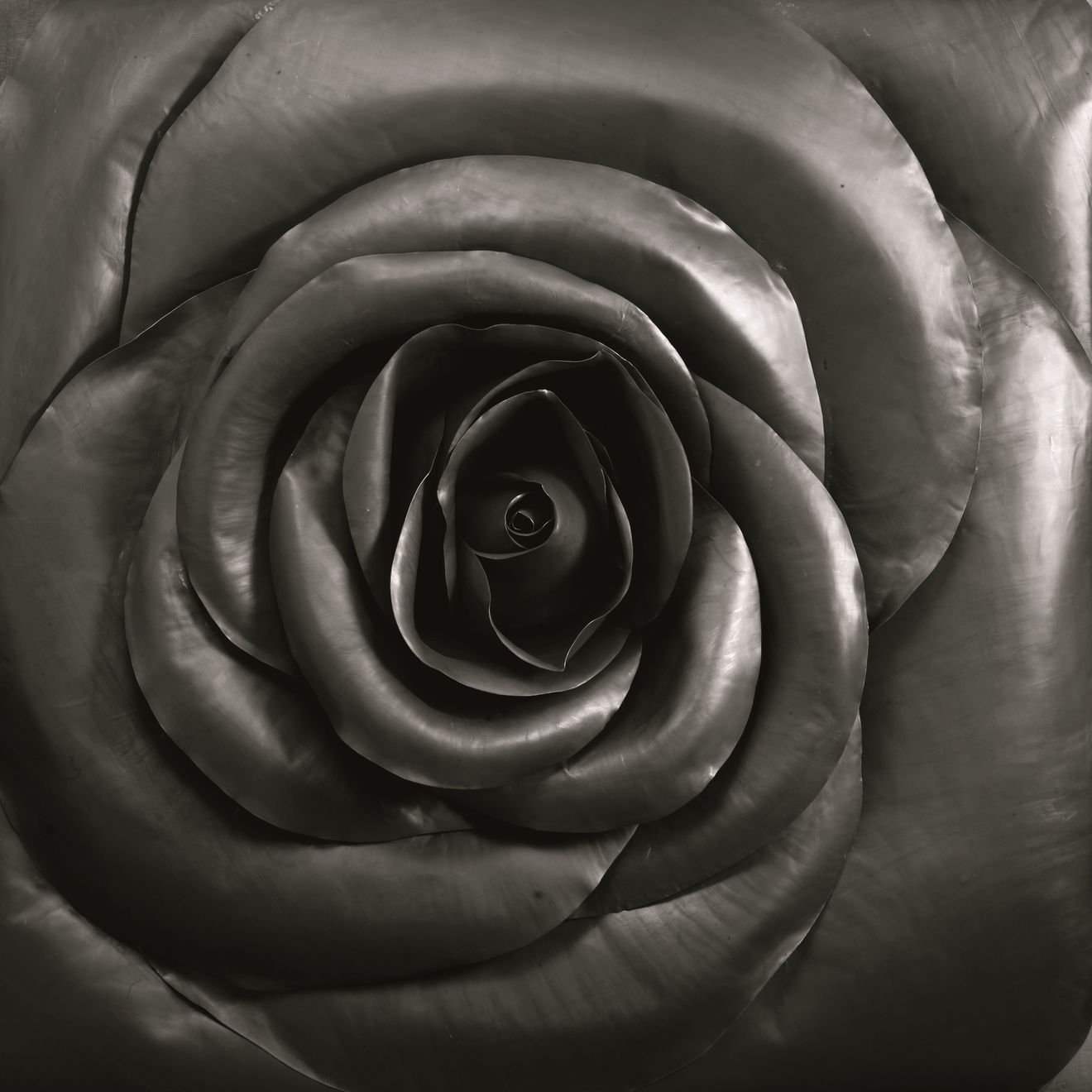 Cai Zhisong 蔡志松, Rose 小玫瑰, 2010