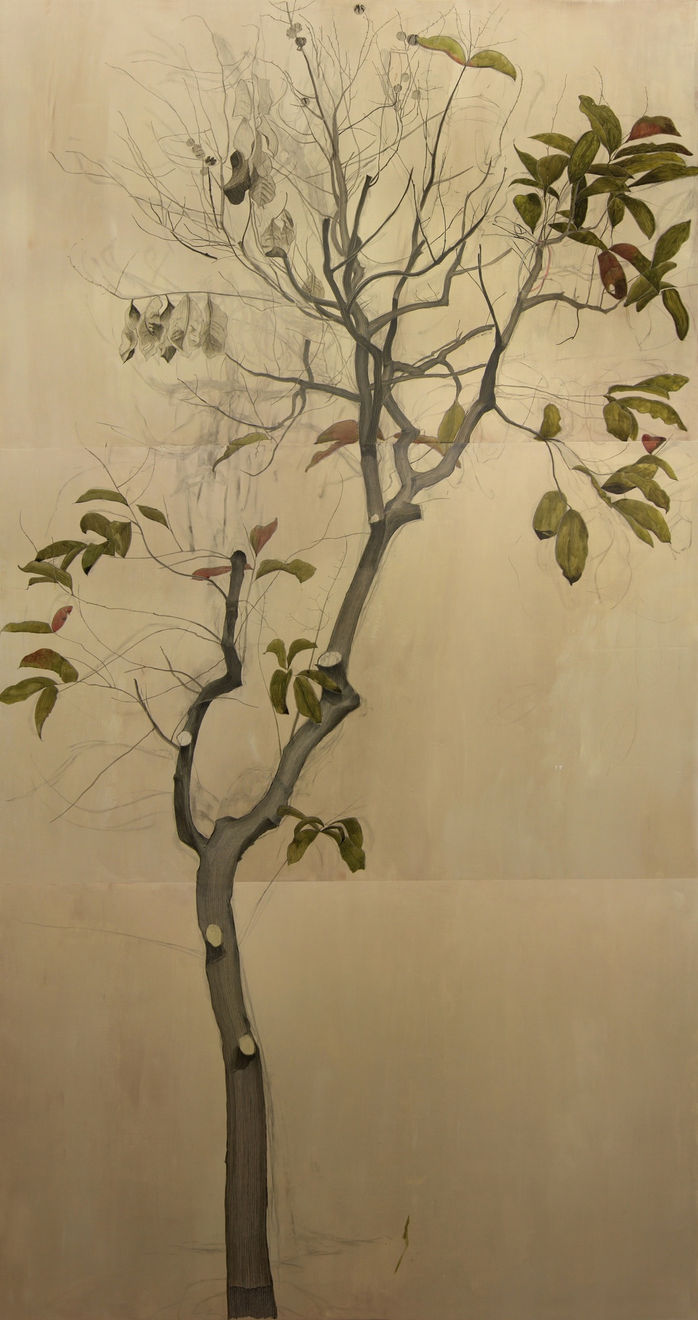 Halley Cheng 鄭哈雷, A Tree in Lai Chi Kok Park, Stage 1, West Entrance 荔枝角公園第一期西翼入口的一棵樹, 2013